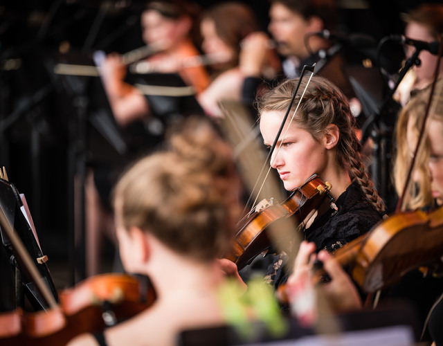 Bladmuziek strijkinstrumenten