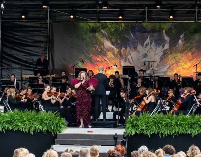 Junior Lauswolt Zomerconcert - 3 juli 2025